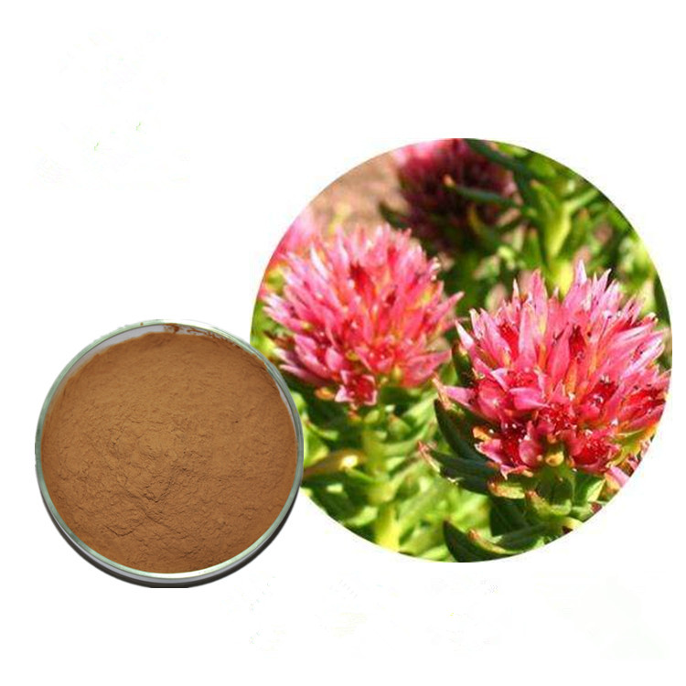 salidroside  rhodiola extract