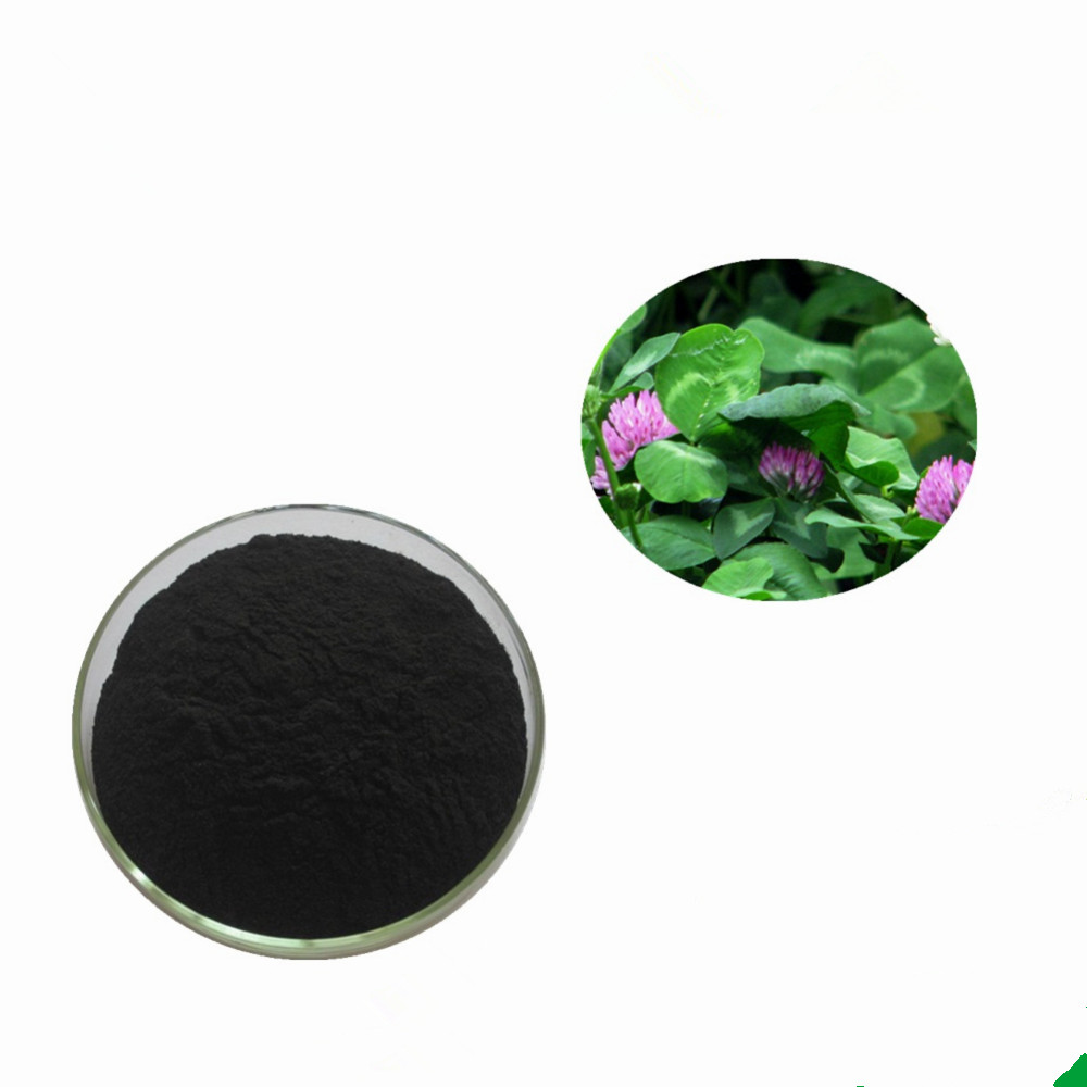 Isoflavone Red Clover P.E