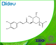 Chlorogenic acid USP/EP/BP