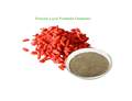 wolfberry fruit powder Fructus Lycii powder 