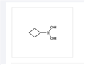 Cyclobutylboronic acid