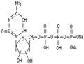 Cytidine5'-(tetrahydrogen triphos) (CTP-Na2)