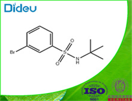 3-BROMO-N-TERT-BUTYLBENZENESULPHONAMIDE USP/EP/BP