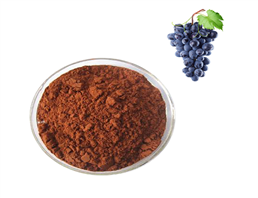 Grape Seed Extract