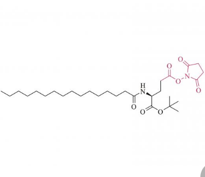 Nα-Palmitoyl-(L)-glutamic acid-γ-succinimidyl-α-tert-butyl ester