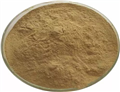 Lecithin