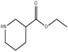 Ethyl nipecotate