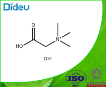 Betaine monohydrate USP/EP/BP