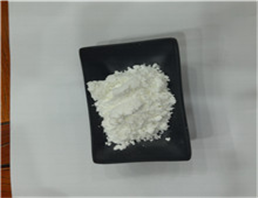 2-Hydroxyethyl methacrylate