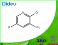 2,5-Dichloropyridin-3-amine