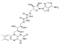 FLAVIN ADENINE DINUCLEOTIDE