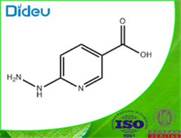 6-HYDRAZINONICOTINIC ACID 