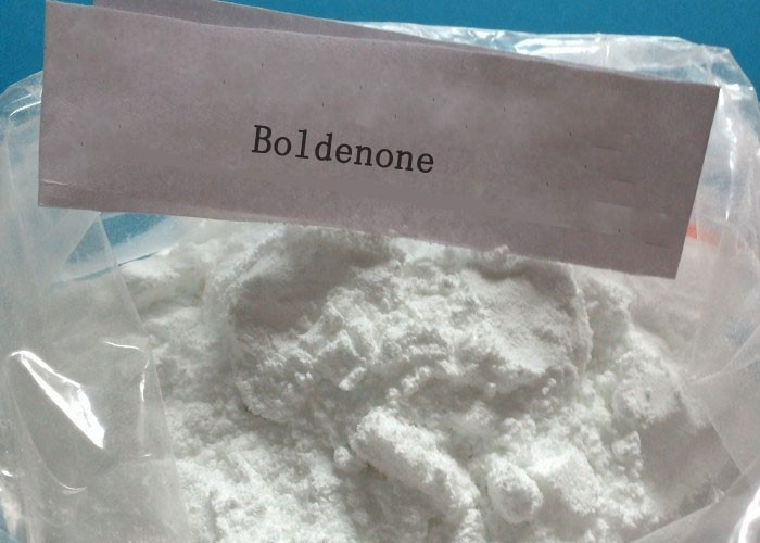 Boldenone