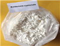 Boldenone Cypionate