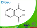 3,4-Pyridinedicarboxylic acid 