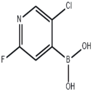 5-Chloro-2-fluoropyridine-4-boronic acid