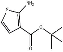 2-Amino-thiophene-3-carboxylic acid tert-butyl ester