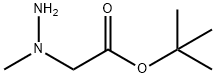 N-Amino-N-methylglycine tert-butyl ester