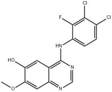 4-(3,4-dichloro-2-fluorophenylamino)-7-methoxyquinazolin-6-ol