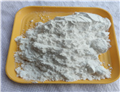 Sodium carboxyl methylstarch