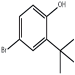 4-Bromo-2-tert-butylphenol pictures