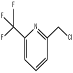 2-Chloromethyl-6-trifluoromethyl-pyridine