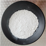 Metoclopramide hydrochloride 