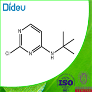 2-Chloro-N-(1,1-dimethylethyl)-4-pyrimidinamine 