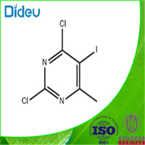 2,4-dichloro-5-iodo-6-methylpyrimidine 