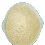 7-Aminocephalosporanic acid