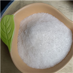 Procaine Hydrochloride