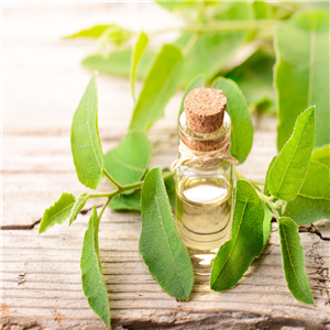 Eucalyptus oil