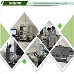 3-(Bromoacetyl)-5-chloro-2-thiophenesulfonamide