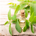 Eucalyptus oil