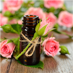 Rose oil,Rose essential oil