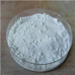 7-Aminocephalosporanic acid