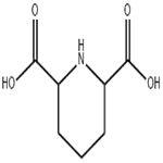 2,6-piperidinedicarboxylic acid