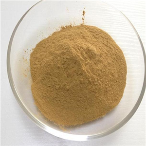 Alantolactone Inula camphor