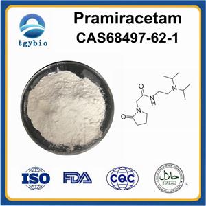 Pramiracetam