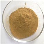 Alantolactone Inula camphor