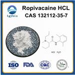 Ropivacaine hydrochloride;Ropivacaine hcl