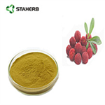 Cortex Myricae extract Myricetin pictures