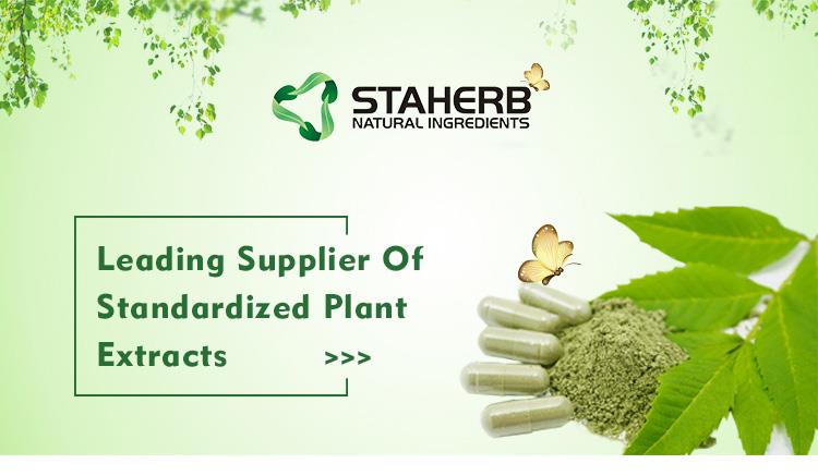 Factory supply Instant green tea powder Green tea extract polyphenols 50%