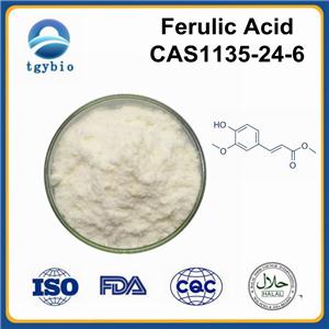 Ferulic Acid;Ferulic acid powder