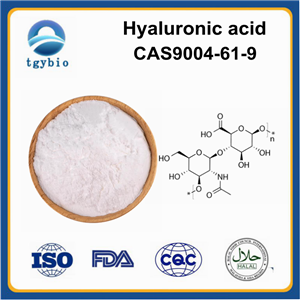 Hyaluronic acid;HA;Hyaluronic acid sodium