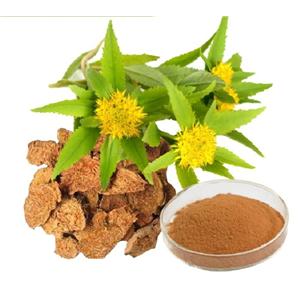 Rhodiola Rosea Extract