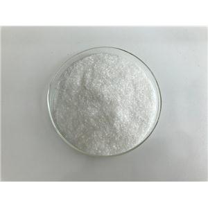 2-tert-Butyl-4-methoxyphenol