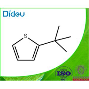 2-T-BUTYLTHIOPHENE 