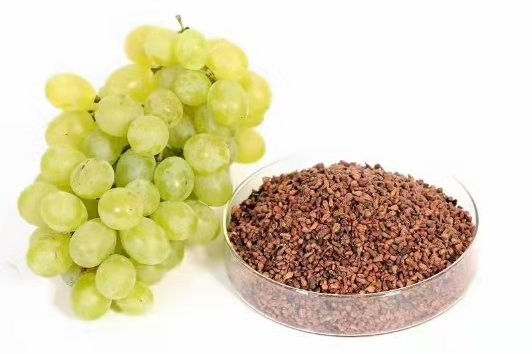 Grape Seed Extract