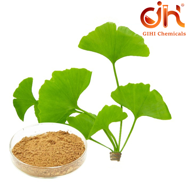 Ginkgo Biloba Extract